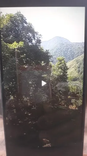 Vendo fazenda com 11 alqueires em Casemiro de Abreu
