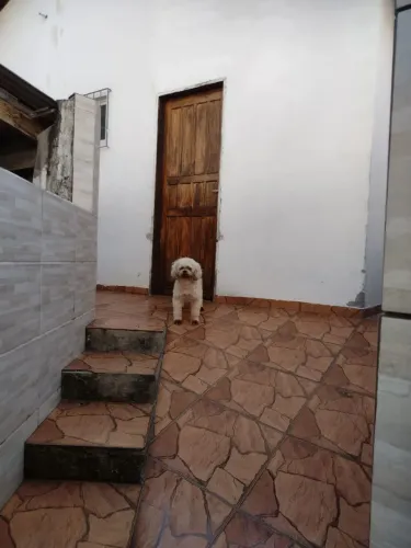 Casa a venda