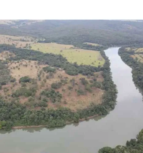 Fazenda pra pecuária no Goiás