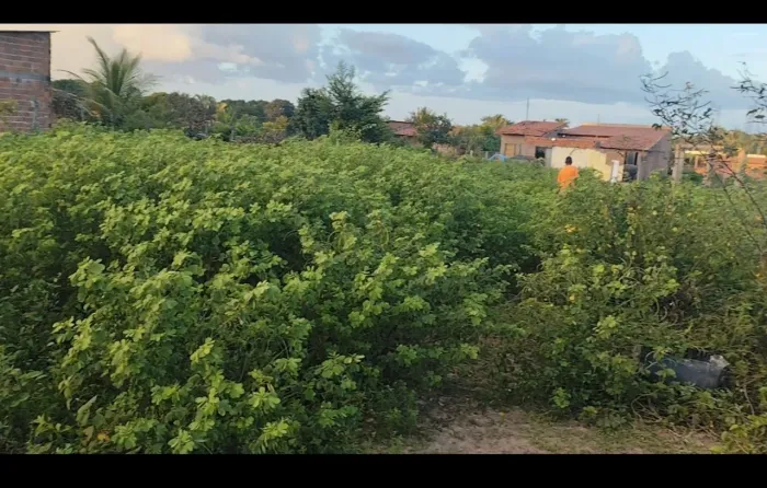 Terreno com documento no residencial terra prometida 