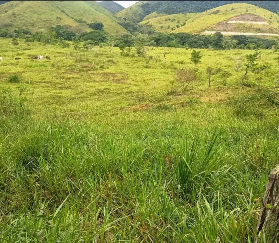 Maravilhos Fazenda no município de Rio Preto (MG) 163 hectares