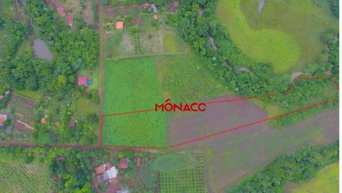 Chácara com 1 dormitório à venda, 20402 m² por R$ 800.000,00 - Limoeiro - Londrina/PR