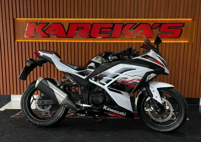 KAWASAKI KAWASAKNINJA 300 2015
