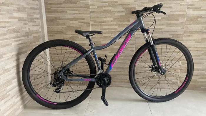 Bicicleta oggi feminina