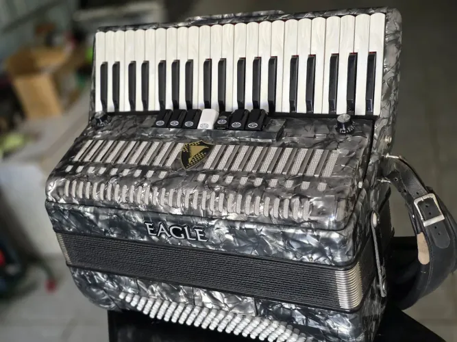 Acordeon 120 baixos já eletrificado com desmanche lateral!