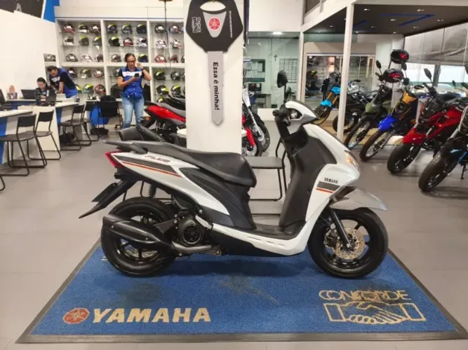 FLUO 125