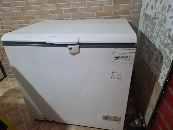 Freezer 309L 220v com transformador para 110