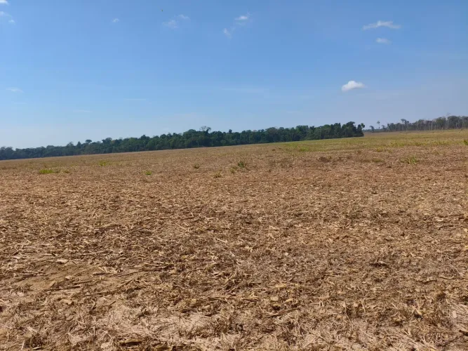 Vendo lote 93,7 hectares