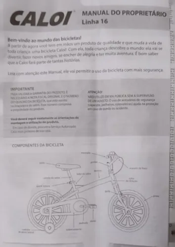 Bicicleta Infantil Aro 16 Caloi Rex