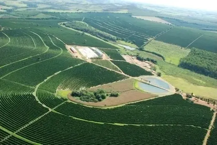 Fazenda 530 Hectares, 268 Hectares em Lavoura de Café, 16 Hectares em Eucalipto, Rico em Á