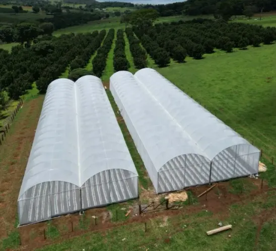 ESTUFA AGRÍCULA 16L X 51C X 4A (APENAS UMA ESTUFA)