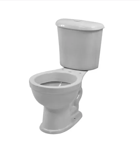 Bacia sanitária com caixa acoplada Luzarte