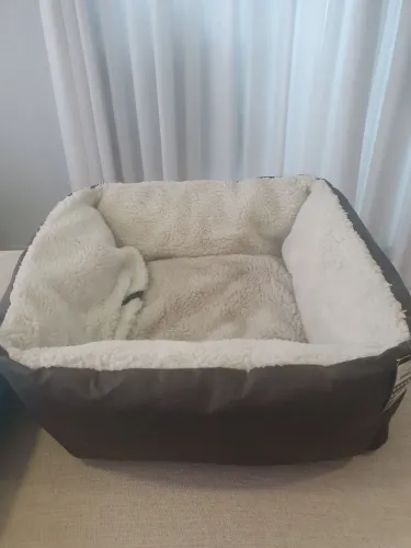 Casinha de Gato
