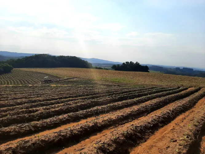 Área rural de 12 Hectares