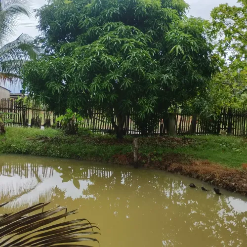 Lote tipo chácara, 25 mil 