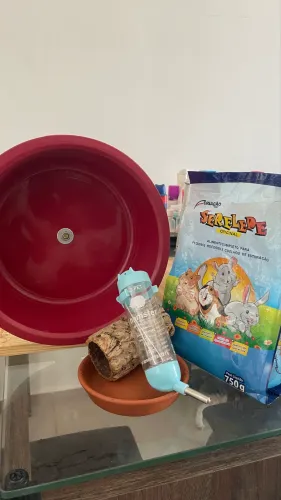 Acessórios para Hamster e Gerbil