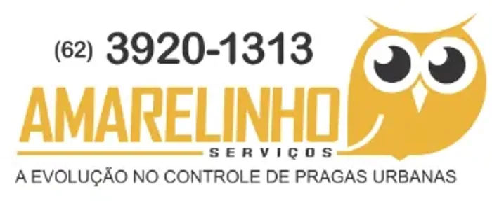 Vaga emprego serviços gerais com CNH