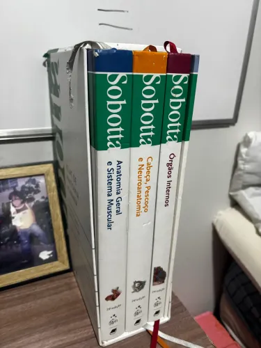 Atlas de Anatomia Sobotta 24ª Edição 