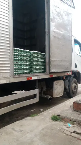 frete e mudança 