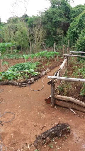 Caseiro