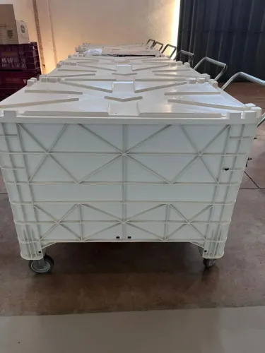 Caixa sanitária p alimentos 