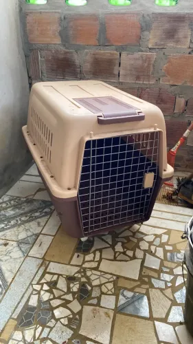 Kennel cachorro 80L