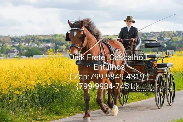 Disk Frete Cascalho e Entulhos 