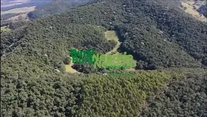 FAZENDA COM PLANTAÇÃO DE EUCALIPTOS EM BRAZÓPOLIS ( PORTEIRA FECHADA)