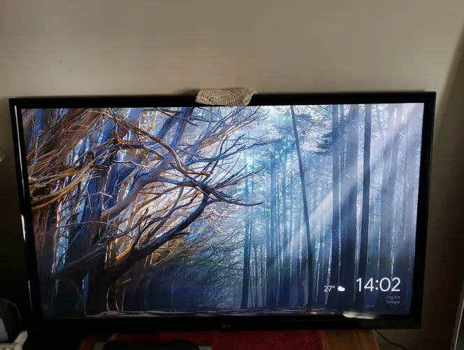 TV
