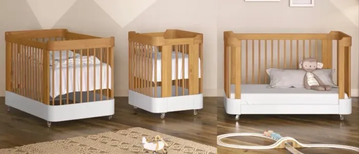 Berço evolutivo