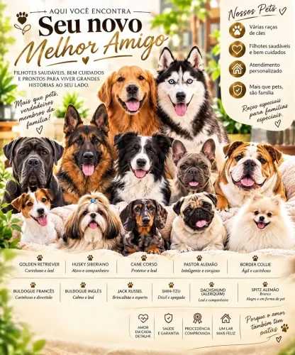 Cachorros a venda