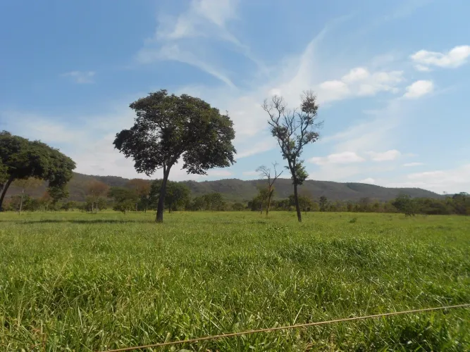 FAZENDA - 1.400 HECTARES.