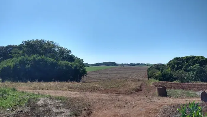 Lote- Sítio 3.95 alqueires em Maringá,  frente para rodovia PR 317,R$ 4.500.000,00