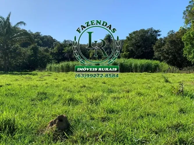 Fazenda 69  Alqueires  Dupla Aptidão