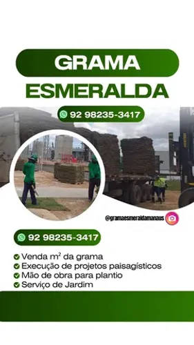 Grama Esmeralda Venda e Plantio