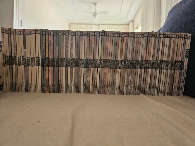 Berserk coleção completa meio tanko!