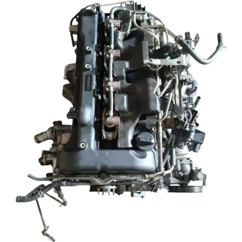 Motor new Triton