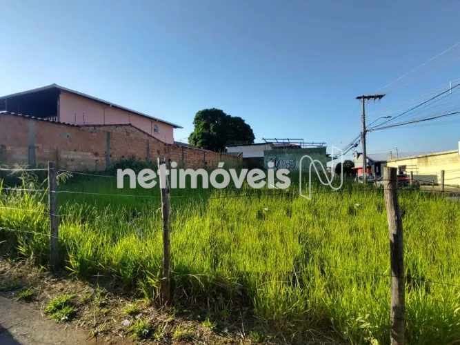 Venda Lote-Área-Terreno Jardim Montanhês Belo Horizonte