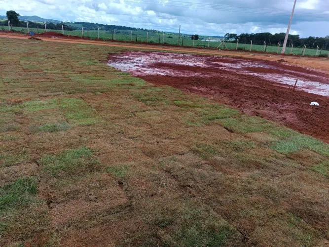 Plantamos Gramas Em Todas Regiões!!!!!