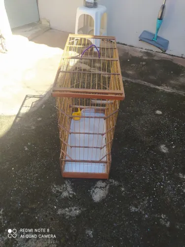 Gaiola de Madeira para Pássaros - Ótimo Preço!