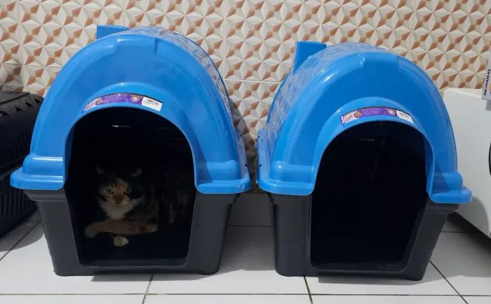 Casa de animais n°4 com entradas de circulação de ar.