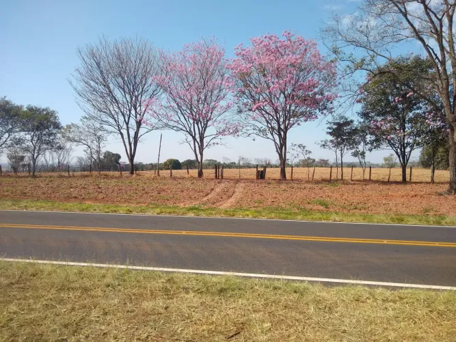 Sitio no trevo de Poloni 24,5 Alqueires Inigualável na Regiao.