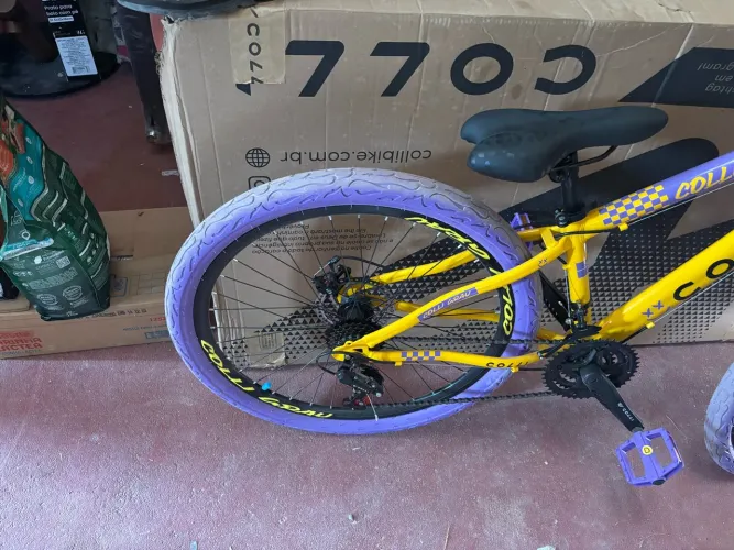 Bicicleta