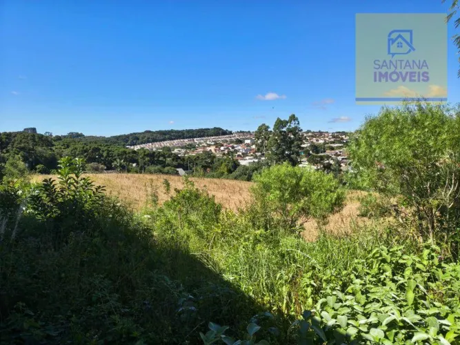 Terreno à venda, 24200 m² por R$ 5.300.000 - Jardim Céu Azul - Campo Largo/PR
