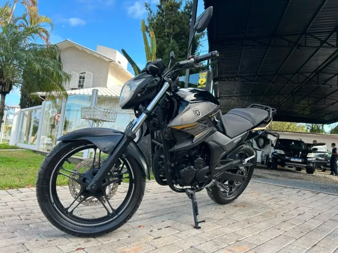 YS 250 FAZER/ FAZER L. EDITION /BLUEFLEX