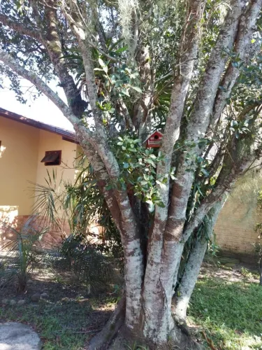 A Casa Perfeita na Praia dos Ingleses