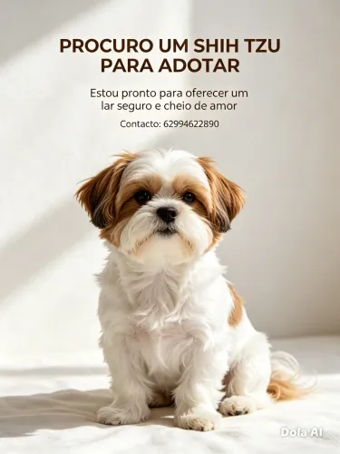 Cachorro