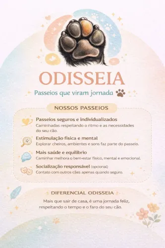 PASSEIO E CUIDADOS PARA CÃES EM FLORIANÓPOLIS