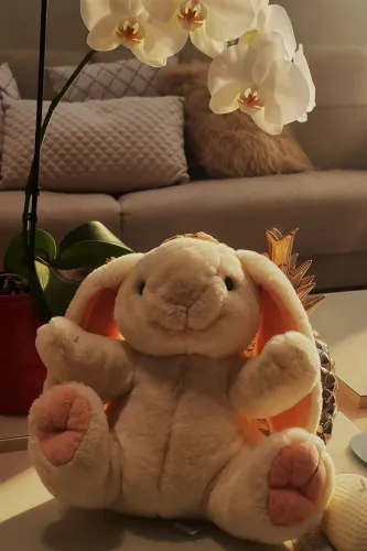 Coelho de Pelúcia Com Orelhas Longas 