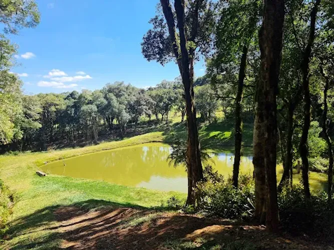 Chácara com 5 dormitórios à venda, 30000 m² por R$ 1.200.000,00 - Marmeleiro - Piraquara/P